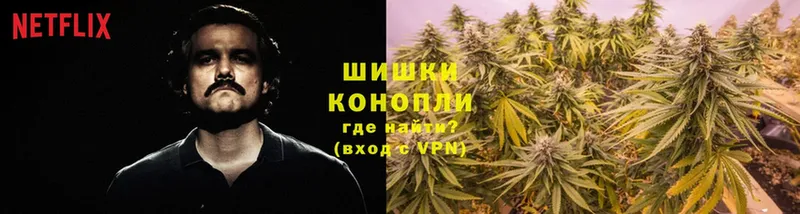 Магазин наркотиков Ноябрьск MDMA  COCAIN  Меф  Бошки Шишки  Галлюциногенные грибы 